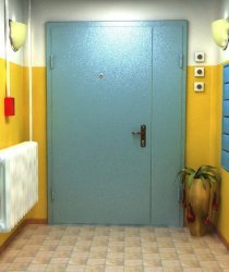 Двери тамбурные в Реутове
